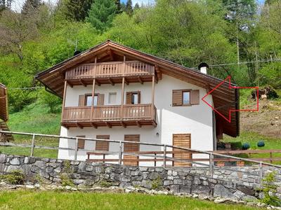 Trentino estate 2022 in baita